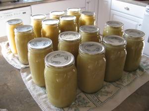 16 Quarts of Apple Sauce = Love in a Canning Jar!